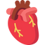 Cardiovascular